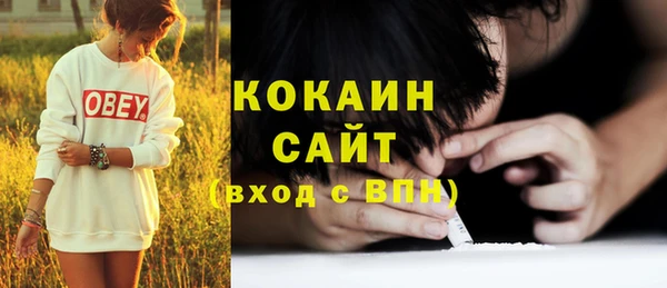 прущий лед Алзамай