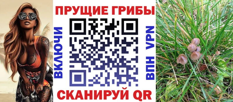 Псилоцибиновые грибы Psilocybine cubensis  Славск 